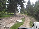 2015-07-13 11.54.05